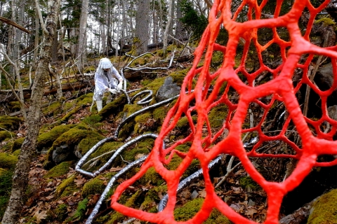 Someone in a haz-mat suit in a forest setting